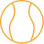 A small orange icon displaying a curvy body, showing that Shine can be used all over the body.